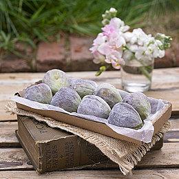 《Bears In Space》登陆Steam 3D第一视角FPS